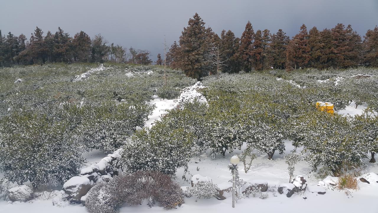 Jeju Mermuri Yerye-dong Εξωτερικό φωτογραφία