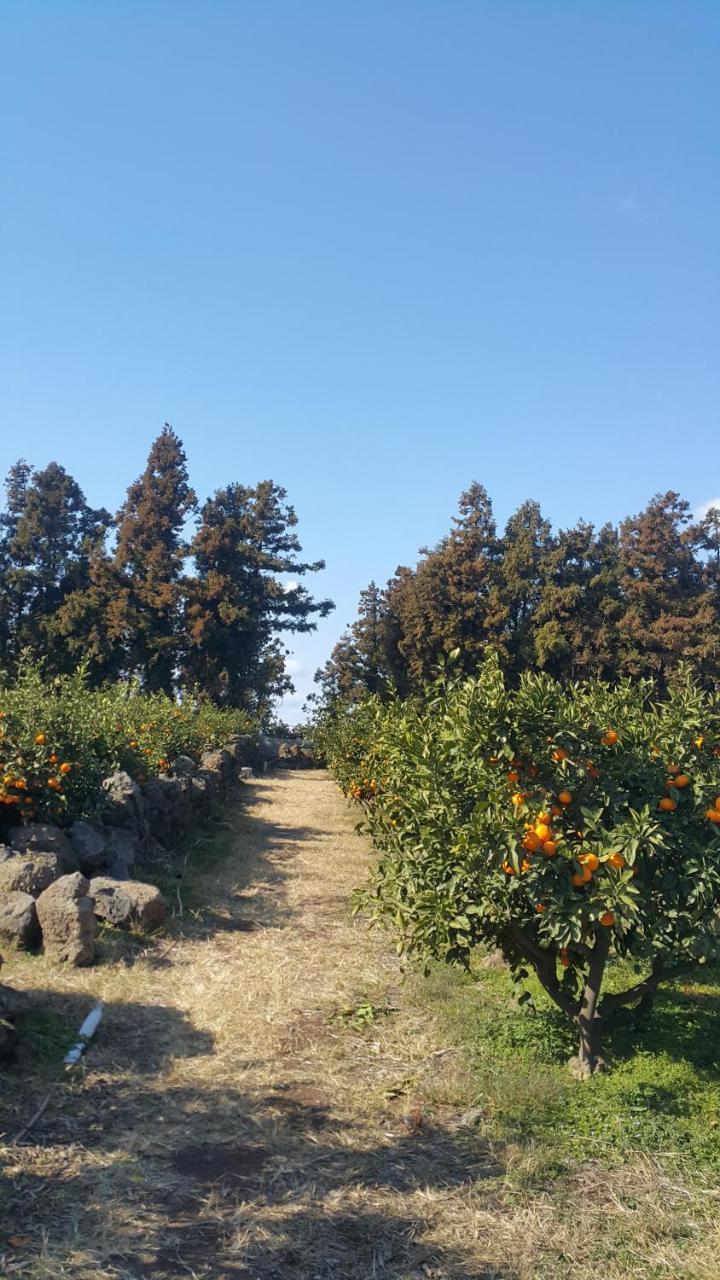 Jeju Mermuri Yerye-dong Εξωτερικό φωτογραφία