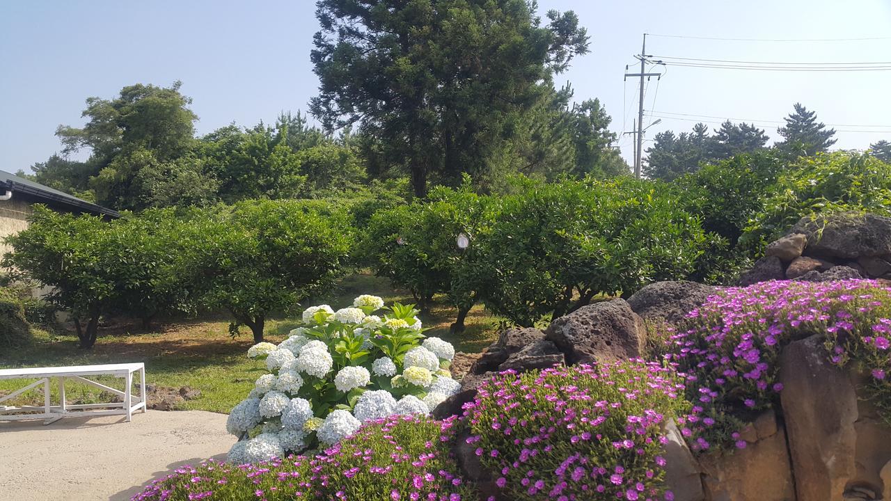 Jeju Mermuri Yerye-dong Εξωτερικό φωτογραφία