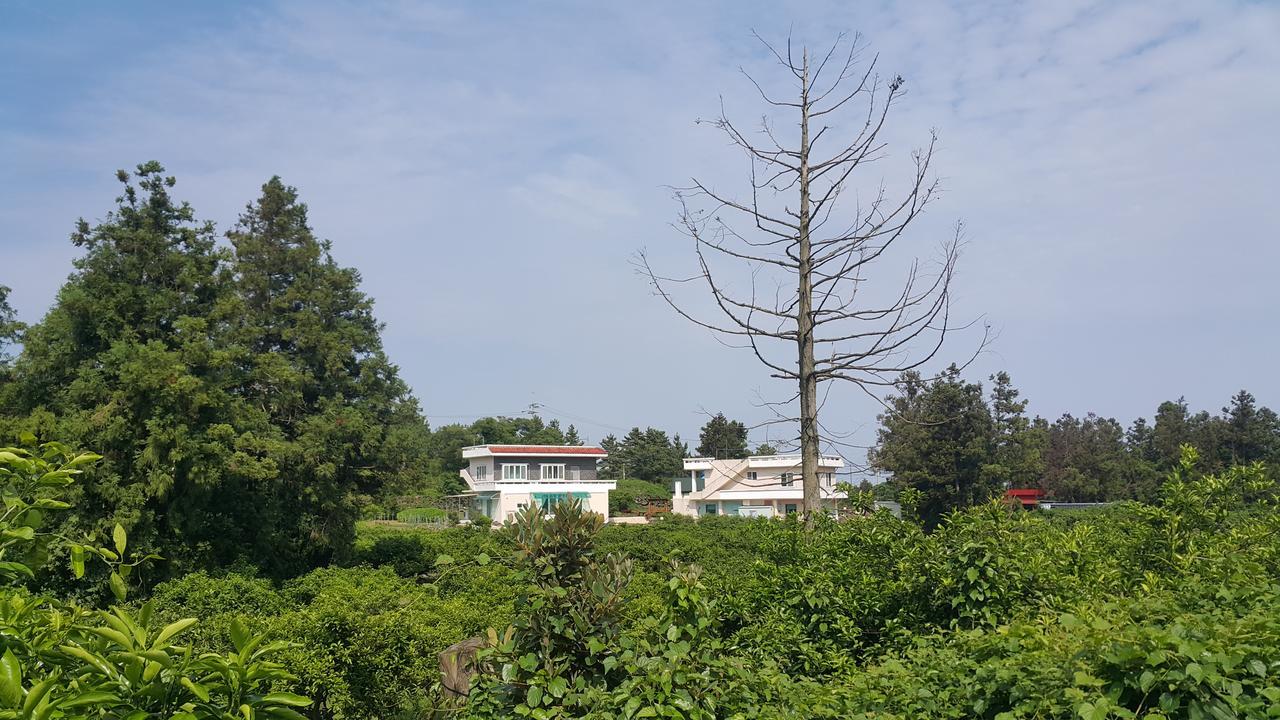 Jeju Mermuri Yerye-dong Εξωτερικό φωτογραφία