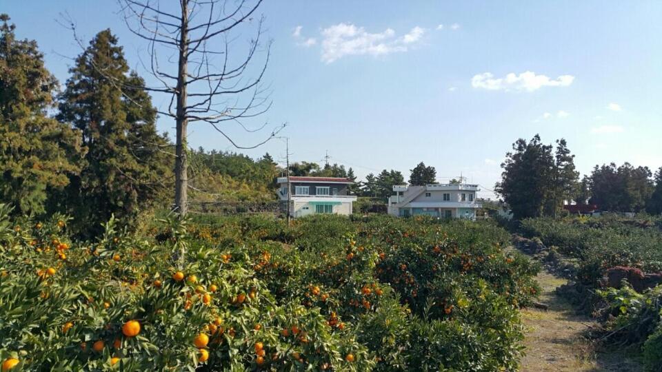 Jeju Mermuri Yerye-dong Εξωτερικό φωτογραφία